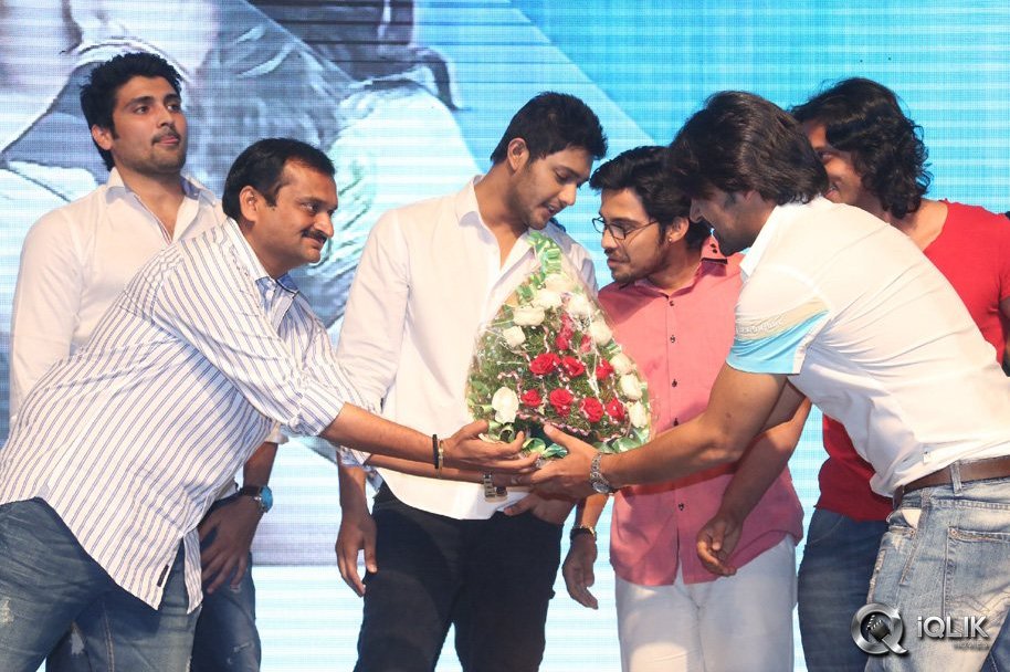 Nee-Jathaga-Nenundali-Movie-Audio-Launch